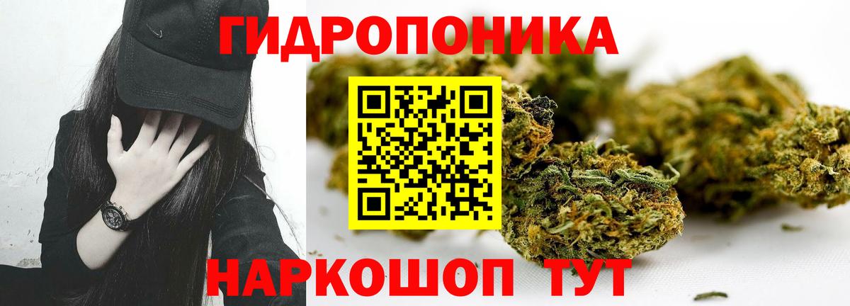 Бошки марихуана LSD WEED  Вход с VPN  Зеленокумск  Бошки марихуана Ganja 